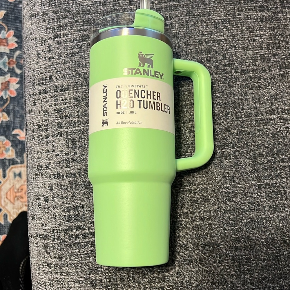 NWT&Box Stanley30 oz StainlessSteel H2.0Flowstate Quencher Tumbler feather green